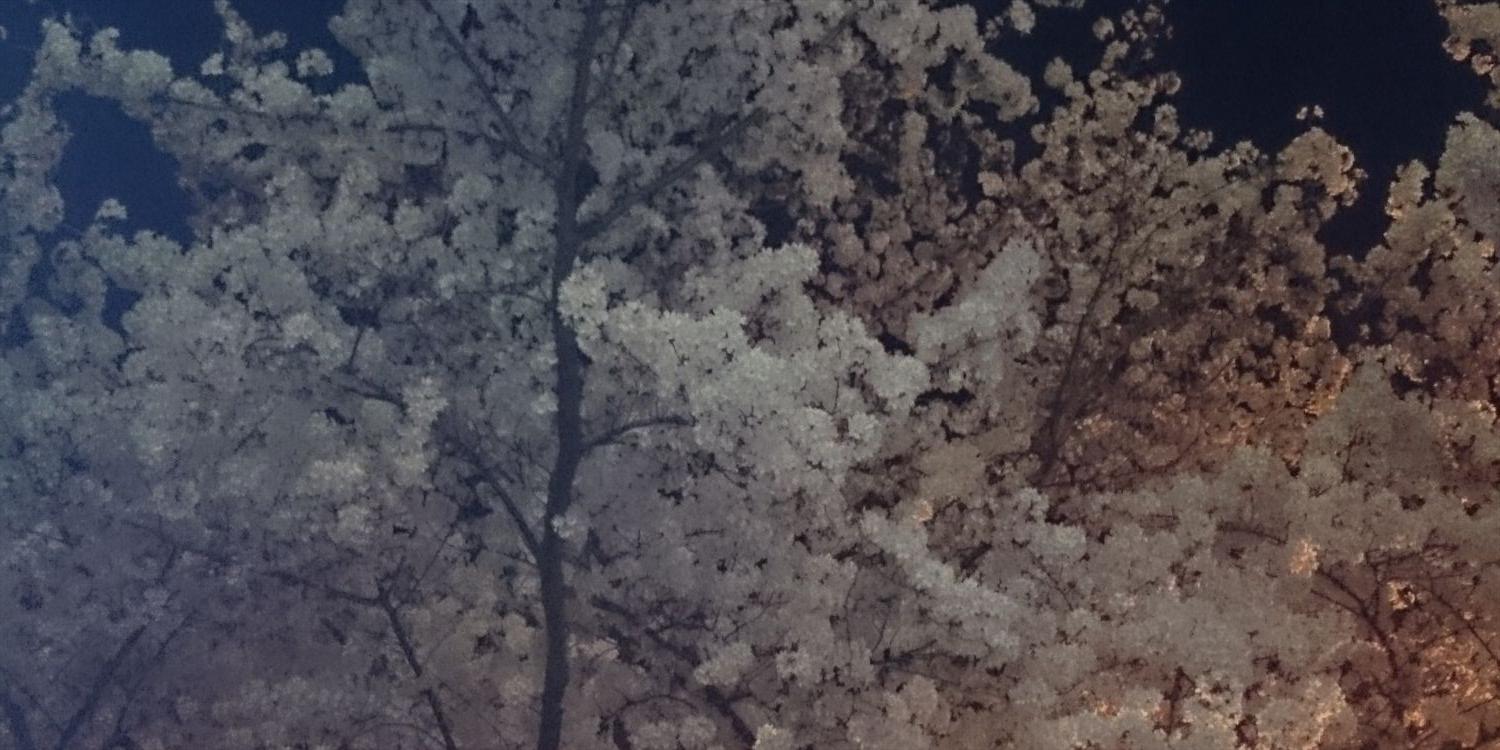 sunga1122's profile banner image