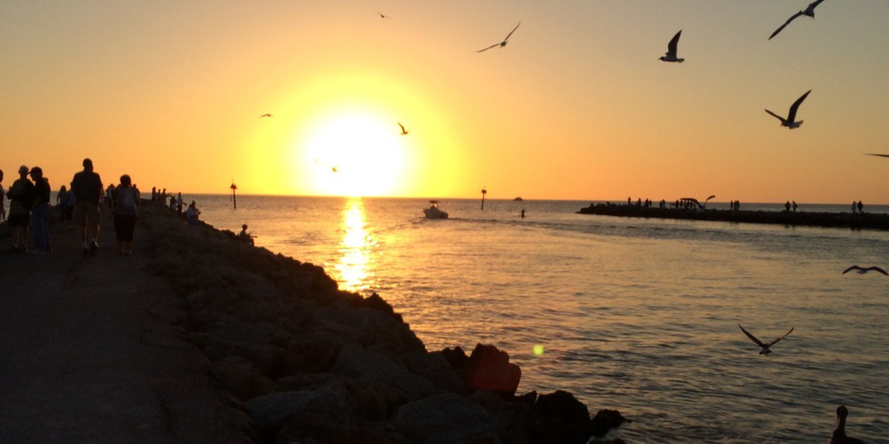 Bonnie Parmertor banner