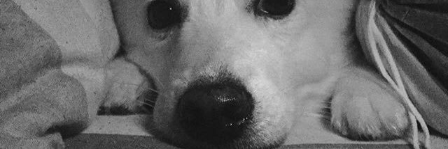 lukecwk's profile banner image