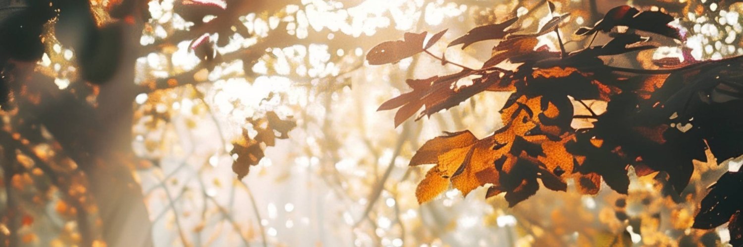 wherelightart's profile banner image