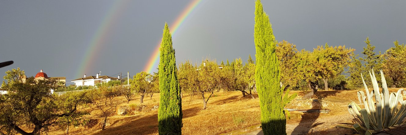albertdelfondo's profile banner image