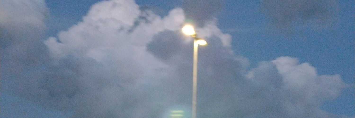elianevazzi's profile banner image