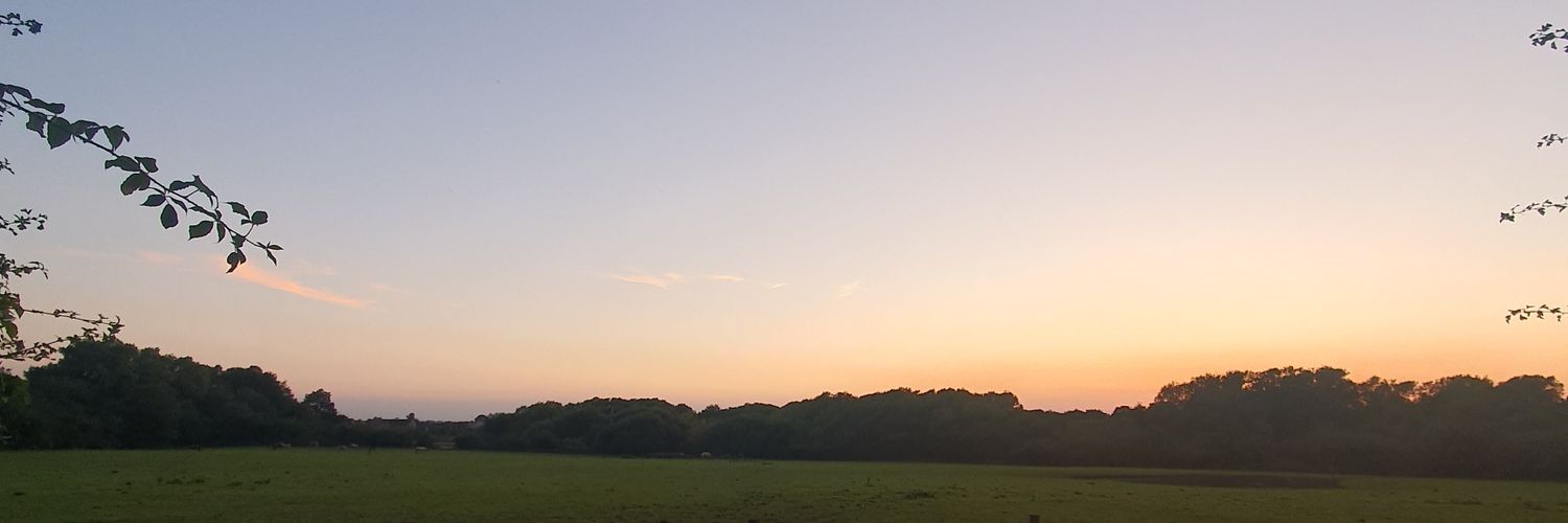 Zoe_Aitken's profile banner image