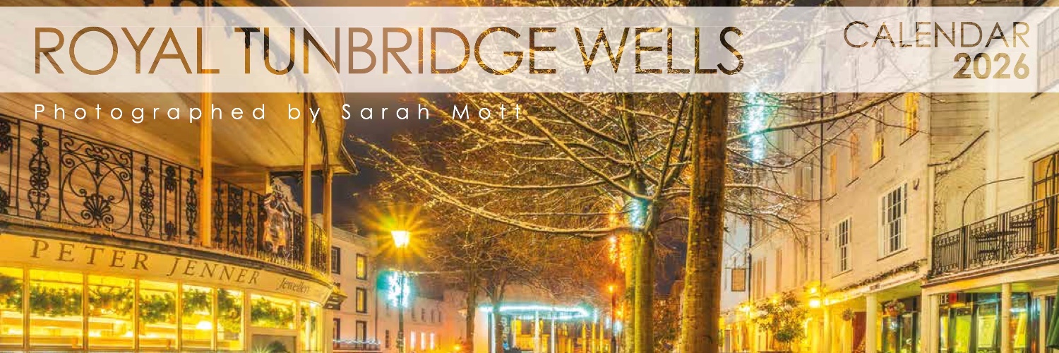Sarah Mott banner