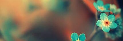 Lona banner