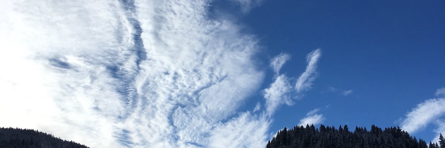 BrigitteRosset's profile banner image