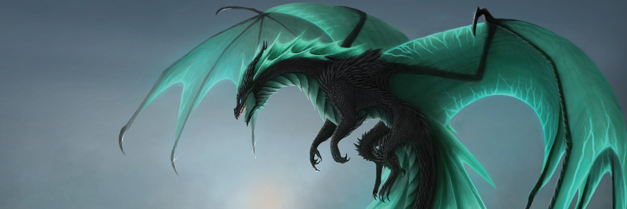 Palidyn's profile banner image