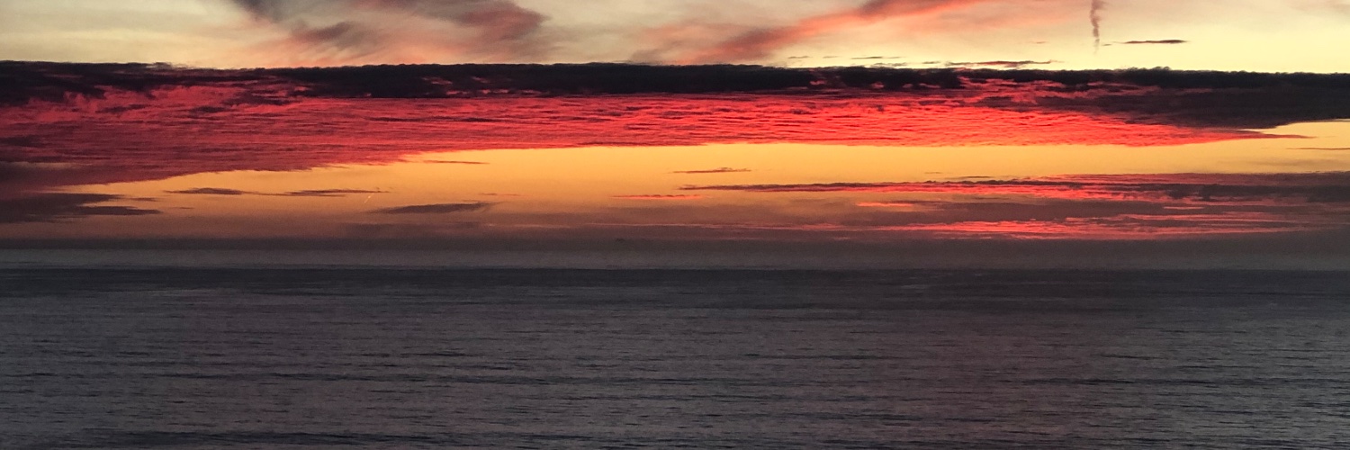 Mojo Rose banner
