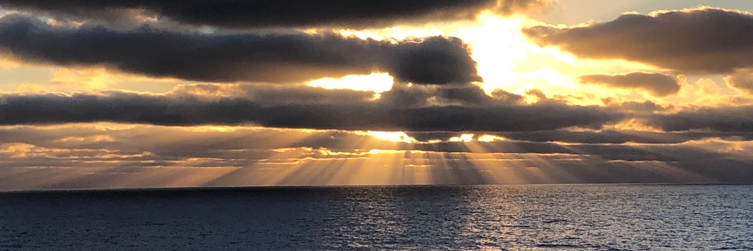 s_gunnells's profile banner image