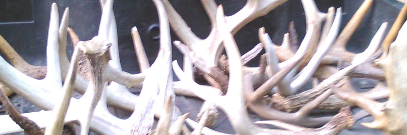 JustRacksHuntin's profile banner image