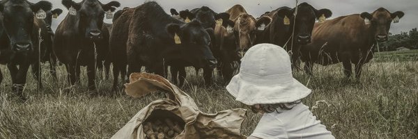 tdhatcher86 Profile Banner