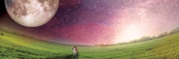 Nesign Profile Banner