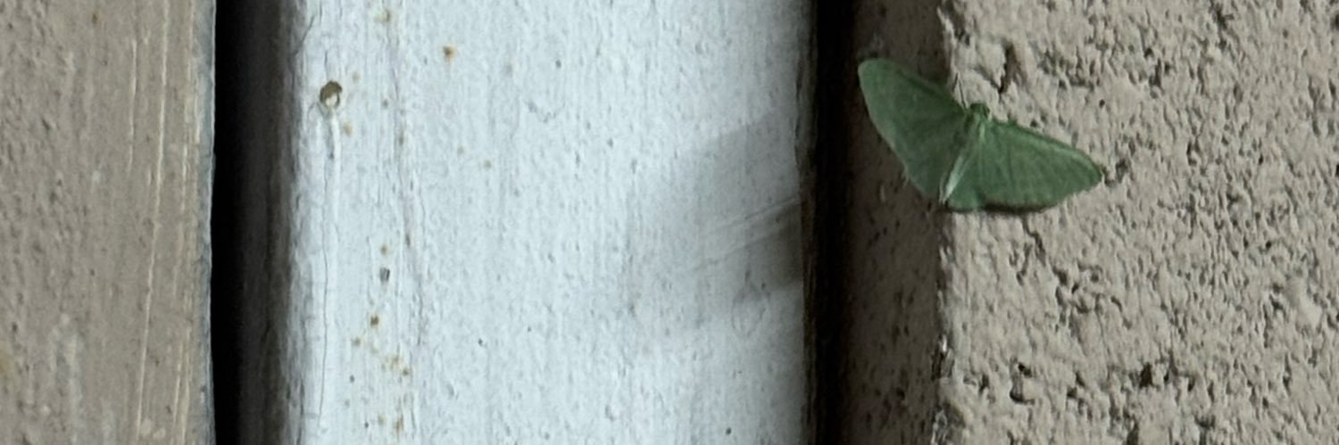 k♡ banner