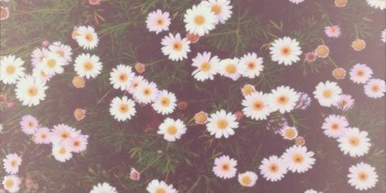 Michelle_Poppit's profile banner image