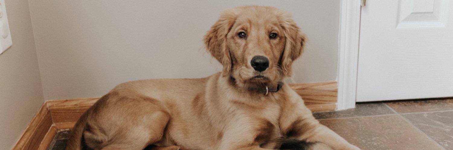 ColemanSeth's profile banner image