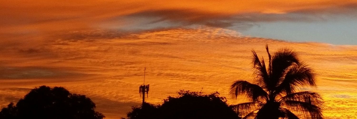 José Martínez banner