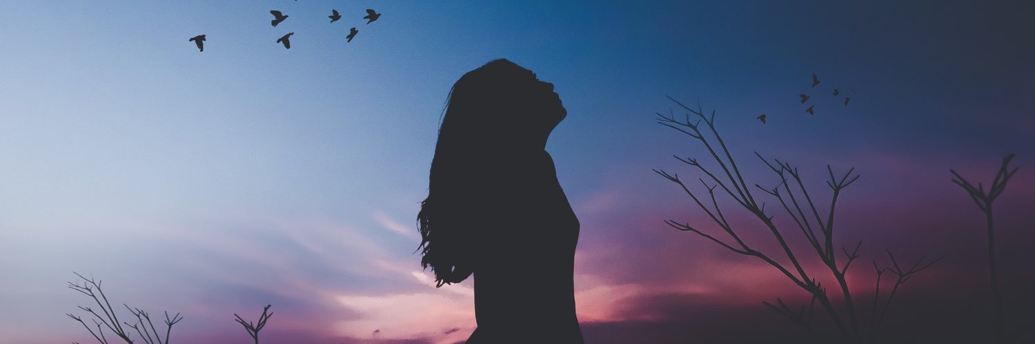 bloom_wellbeing's profile banner image