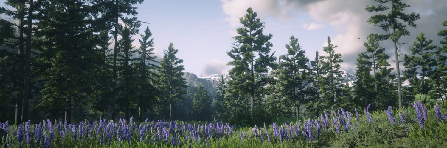 danielamorrrr's profile banner image