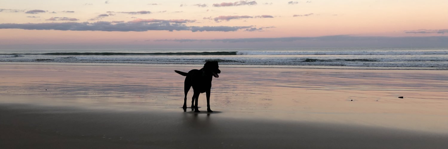 A/Prof Laura Forrest PhD banner