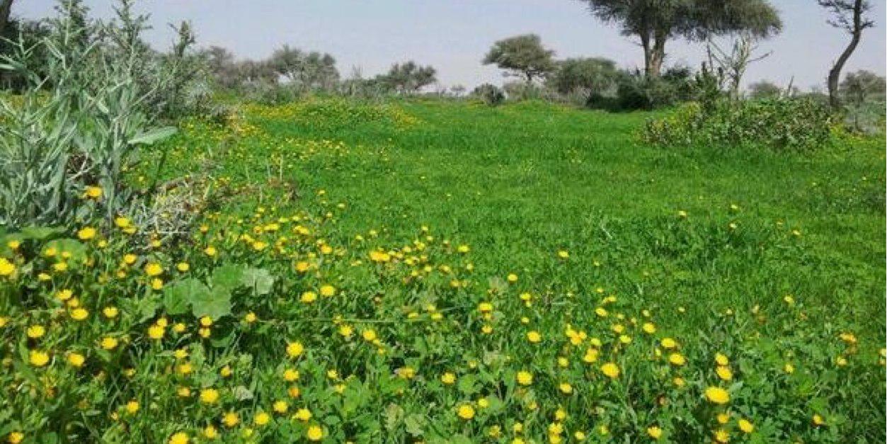 ma7a33's profile banner image