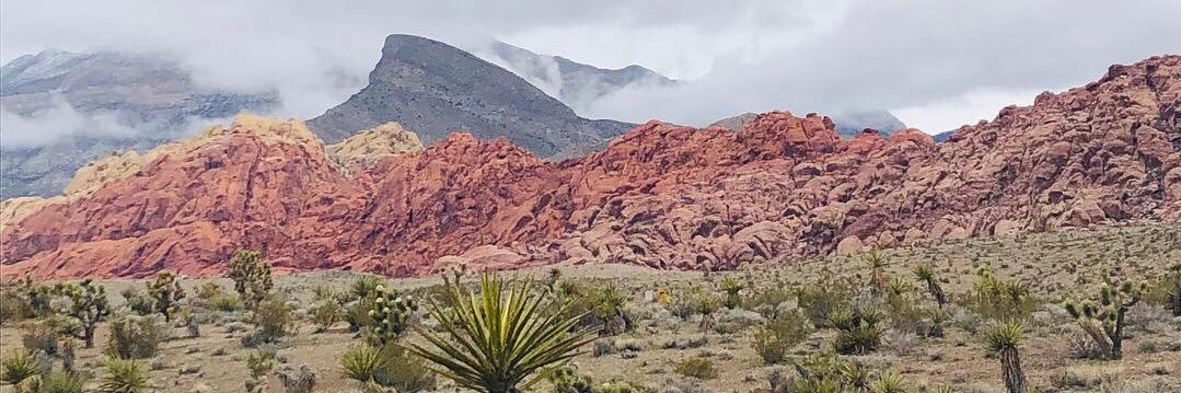 iemmareda's profile banner image
