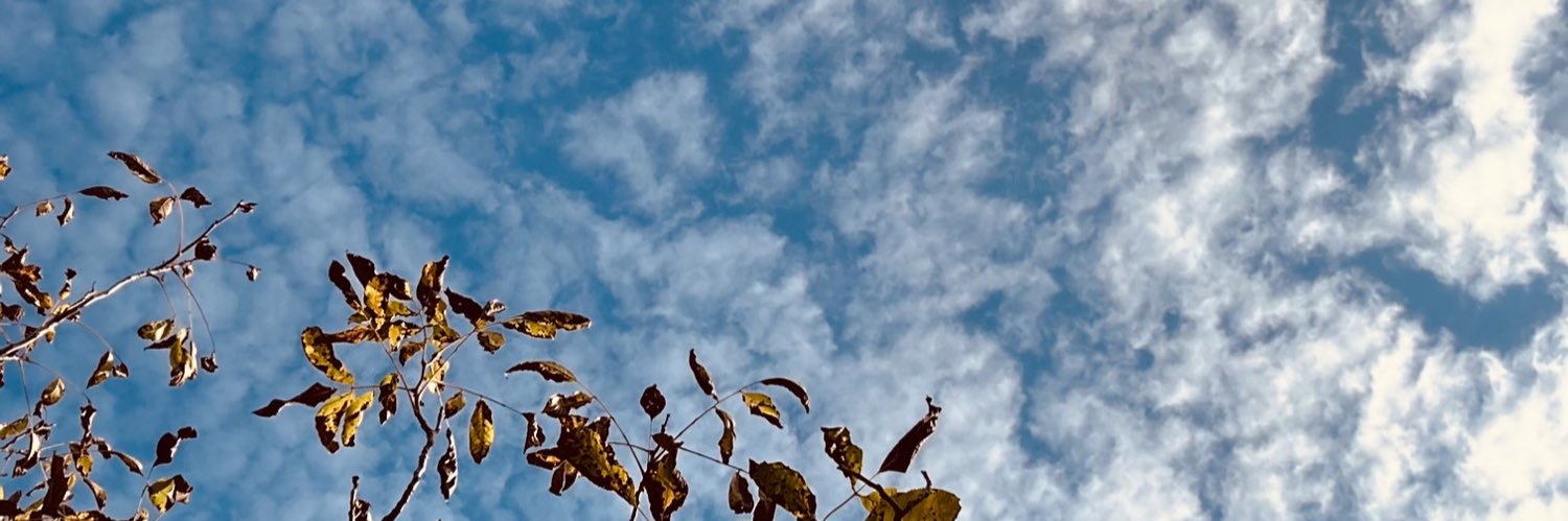 BusraNlbnt's profile banner image