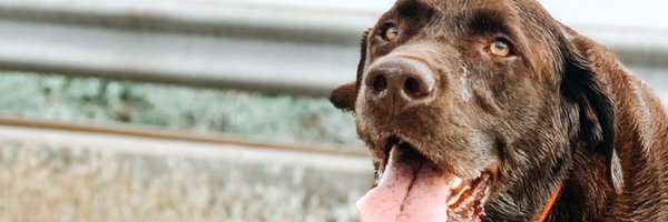 aleischner20 Profile Banner