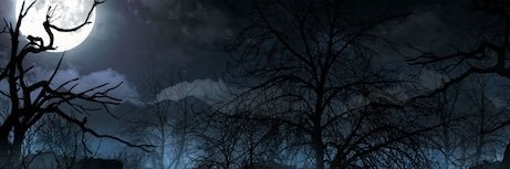evilkittyluna's profile banner image