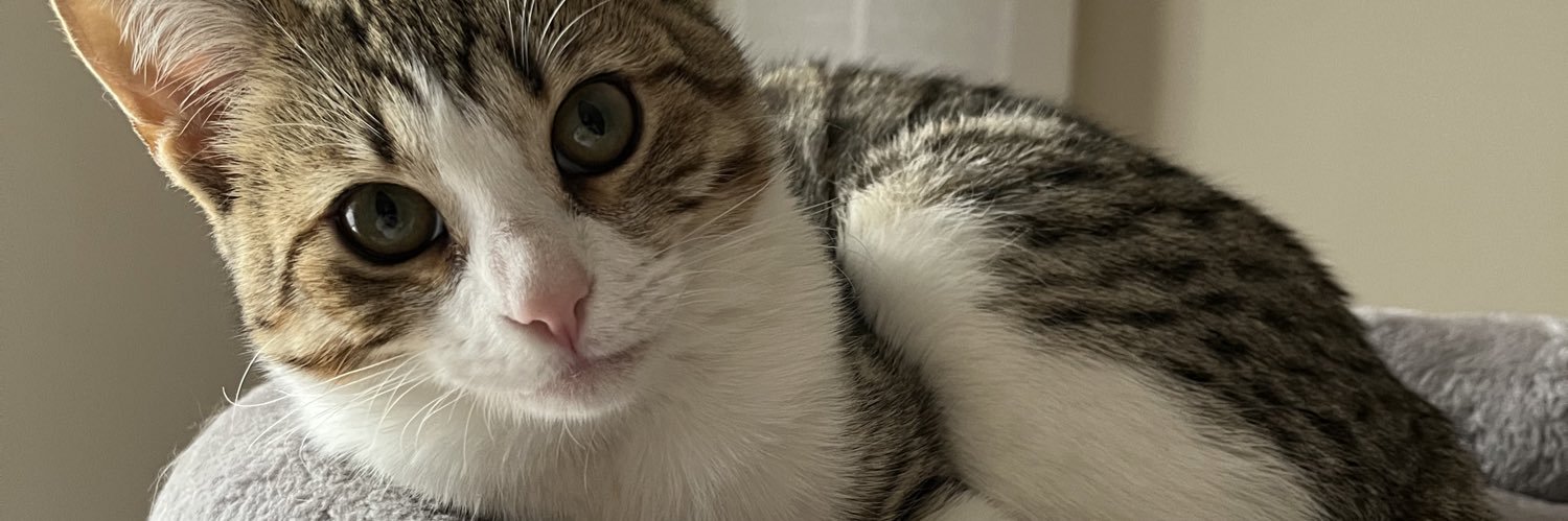 penningerma's profile banner image