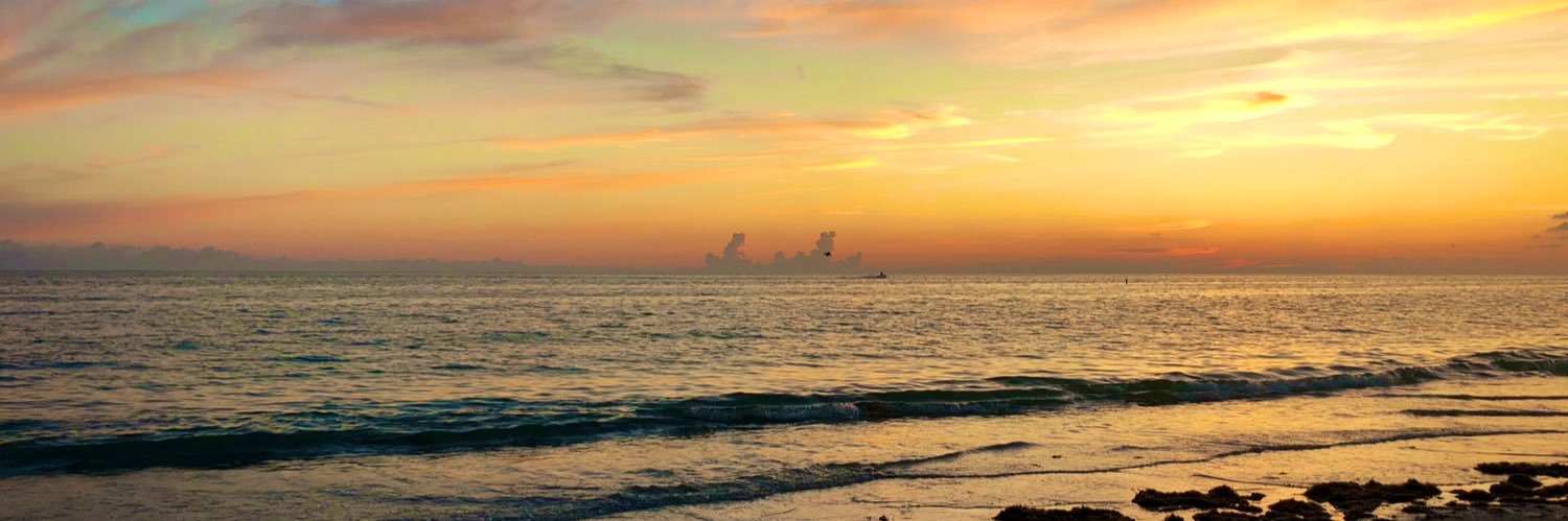 _caryneruth's profile banner image