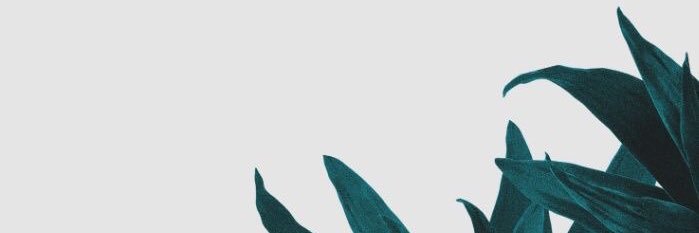 tommasopro's profile banner image