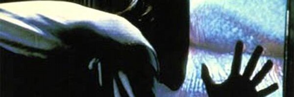 dustmop Profile Banner