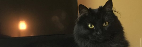 CallMeFlake Profile Banner