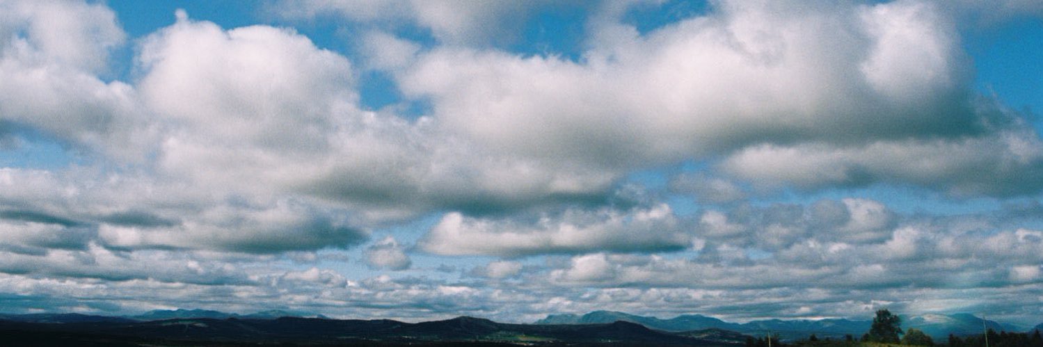 btwmely's profile banner image