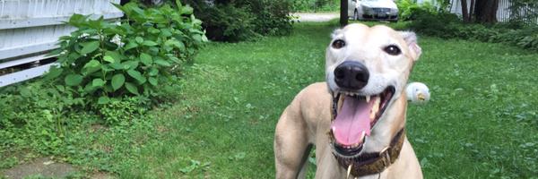 stinarae2 Profile Banner