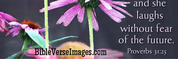 TerryEsq Profile Banner