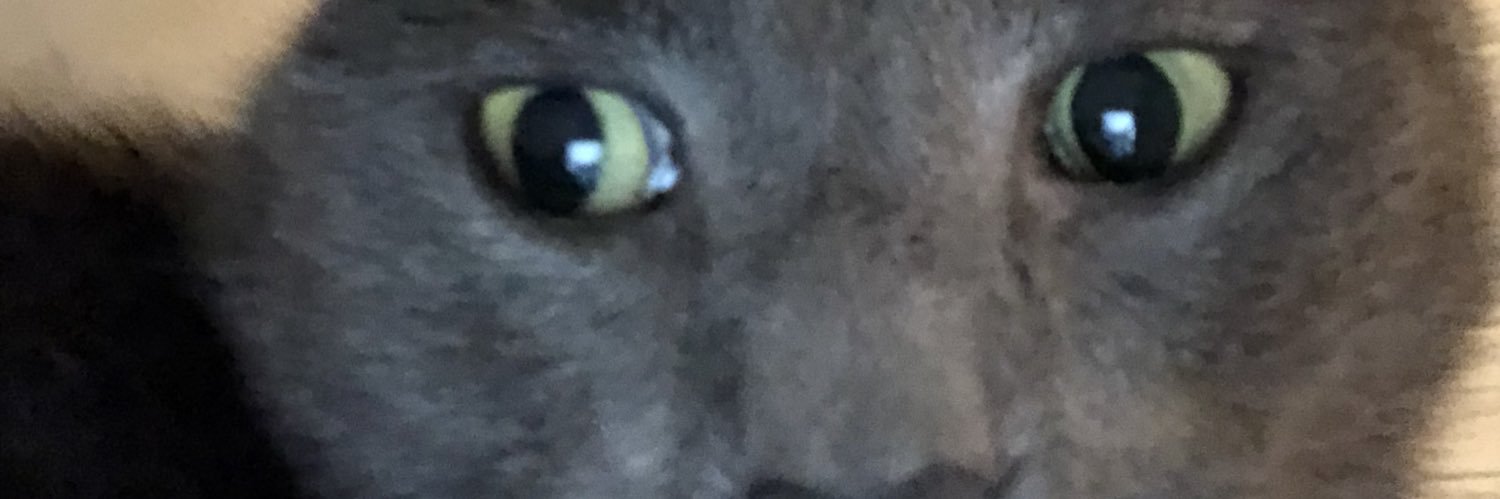 almastromberg's profile banner image