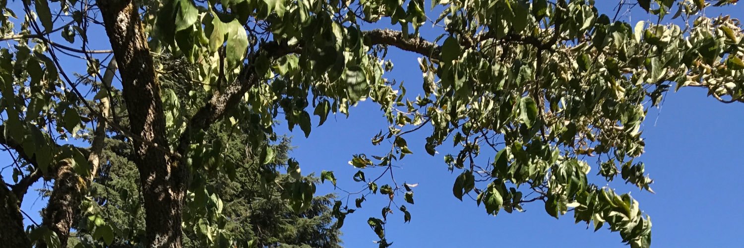 ewinterbottom's profile banner image