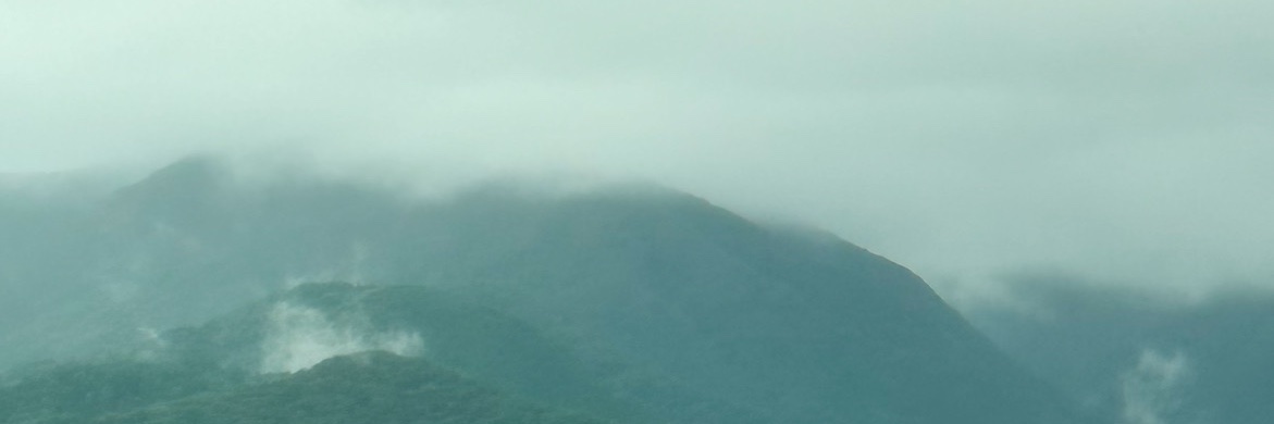 s banner