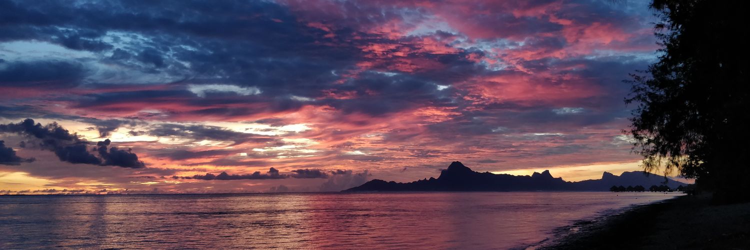 MorganeGoulard's profile banner image