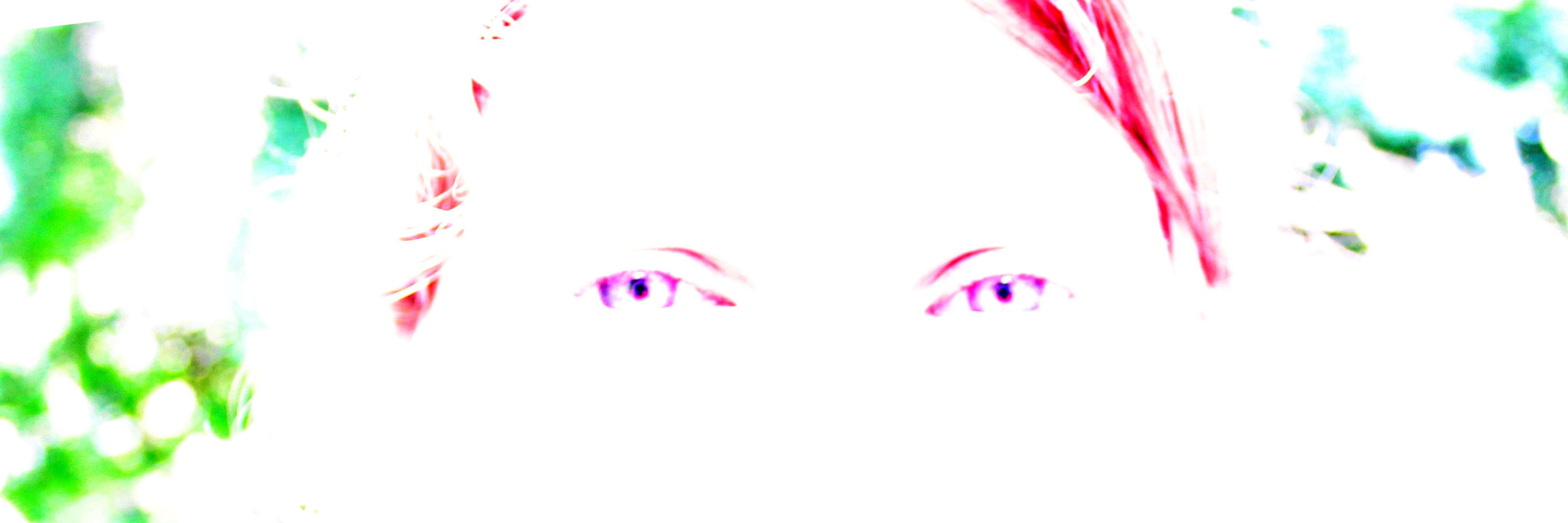DukePool's profile banner image