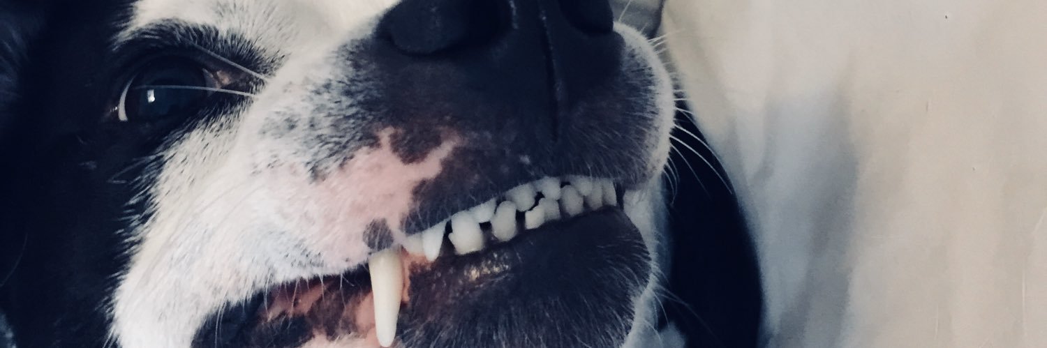 Jcrab714's profile banner image