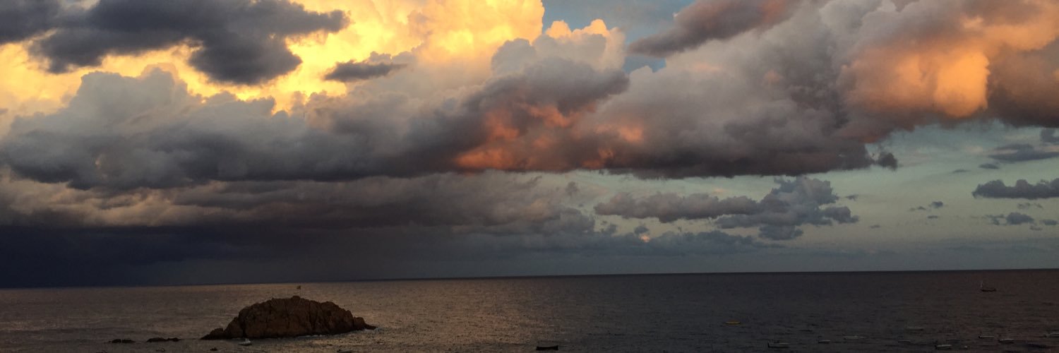 xmartisu's profile banner image