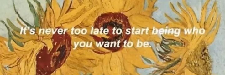 ameeilee's profile banner image