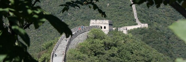 smitt_tim Profile Banner