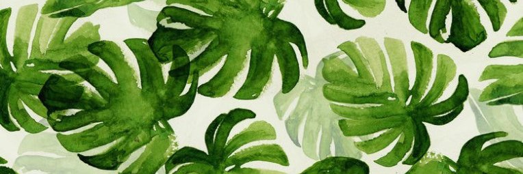 apmichilot's profile banner image