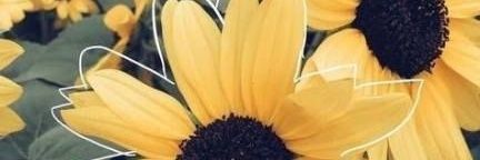 MarianaRebo's profile banner image