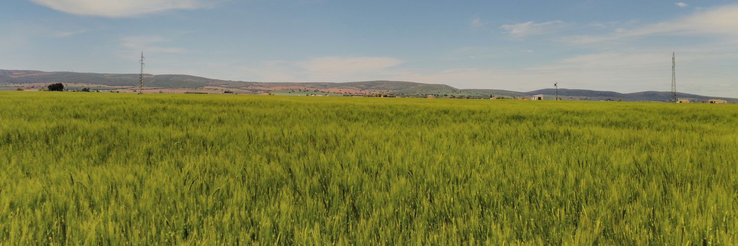 MLPvicente's profile banner image