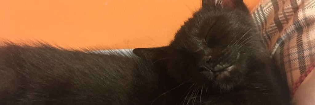 tingzone_'s profile banner image
