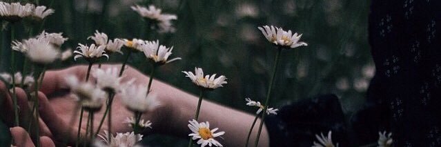 Xoxokayebee's profile banner image